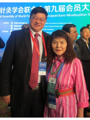 Experts en médecine traditionnelle chinoise et spécialistes <br/>- Professeur Liu Baoyan